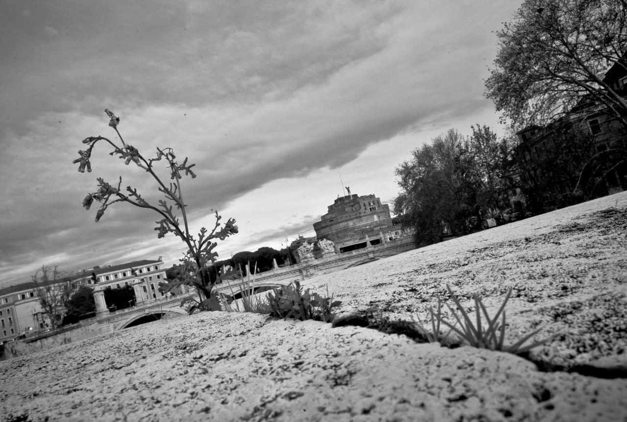 Appartamento Zona Vaticano 2 โรม ภายนอก รูปภาพ